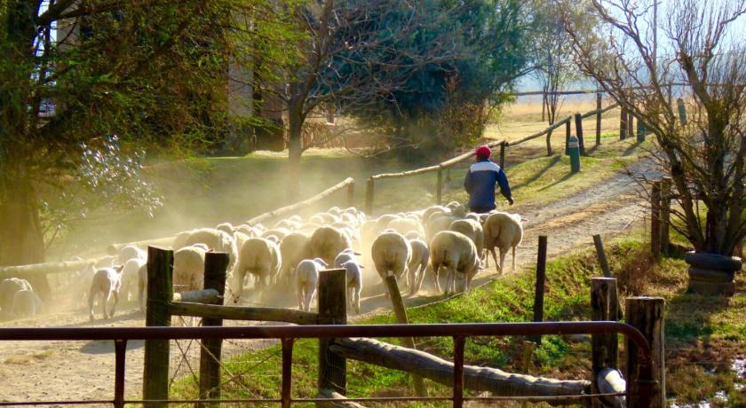 Ardmore Guest Farm photo