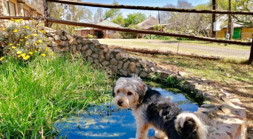 Ardmore Guest Farm photo