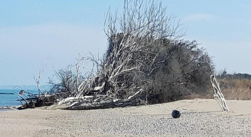 In collina sul mare... photo