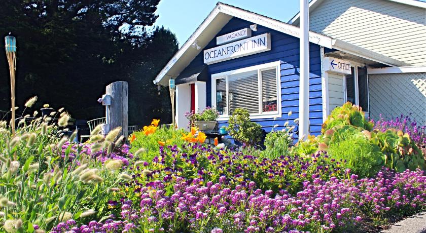 셸터 코브 (CA) The Oceanfront Inn 숙소 외관