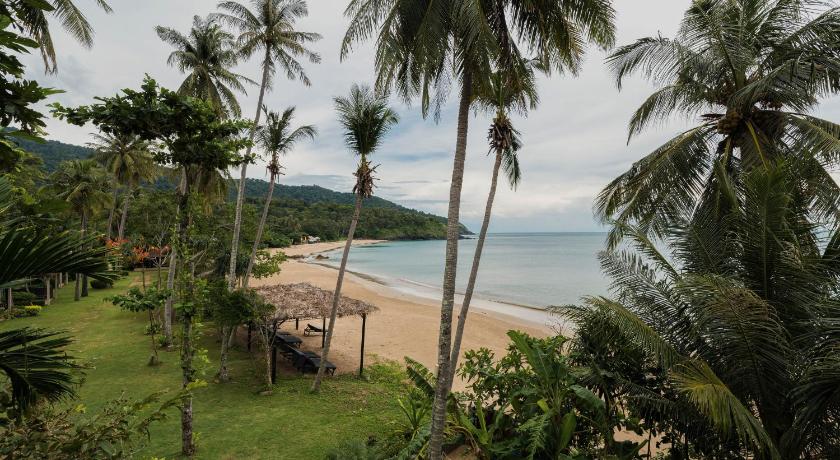 a beach with palm trees and palm trees, Anda Lanta Resort in Koh Lanta