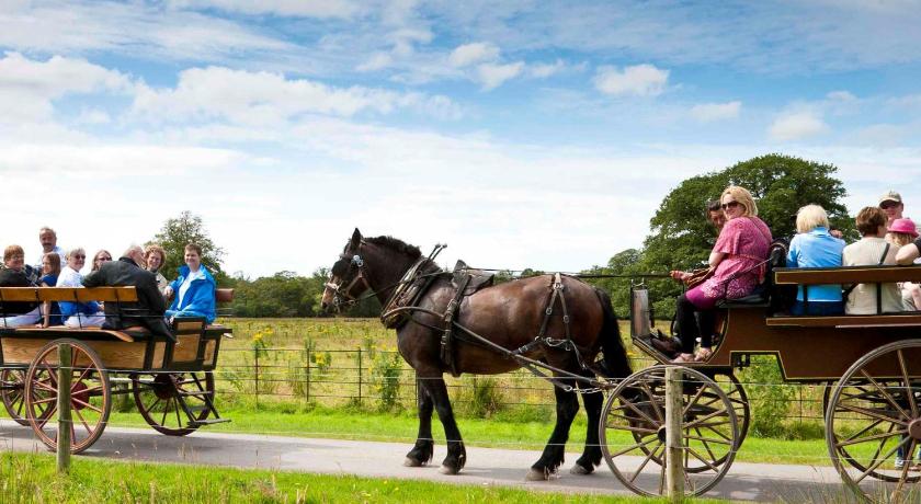 Muckross Park Hotel and Spa