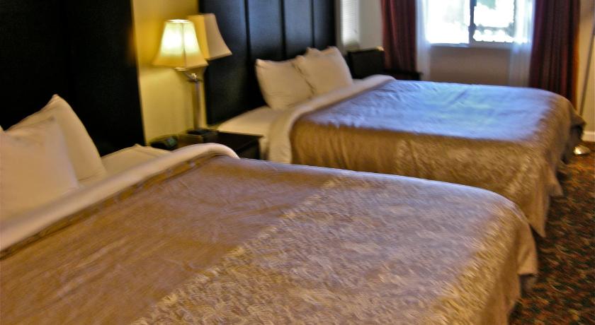 Global Inn photo