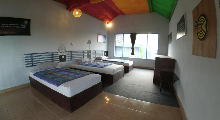 Local Hostel Amed photo