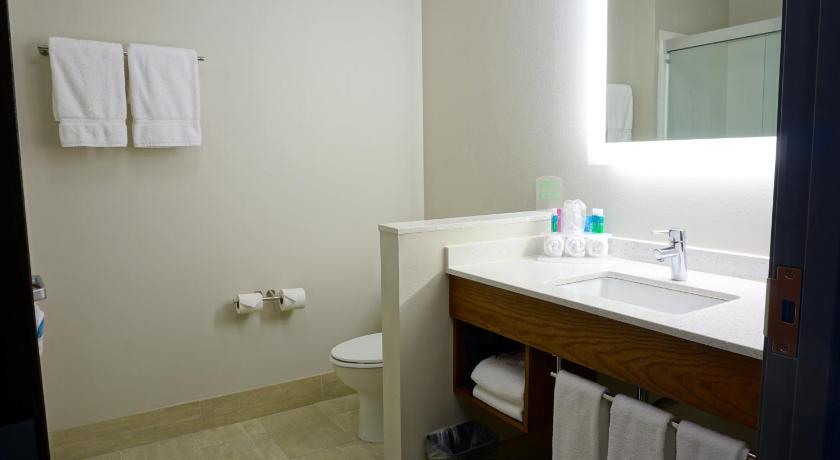 Holiday Inn Express & Suites Omaha - Millard Area