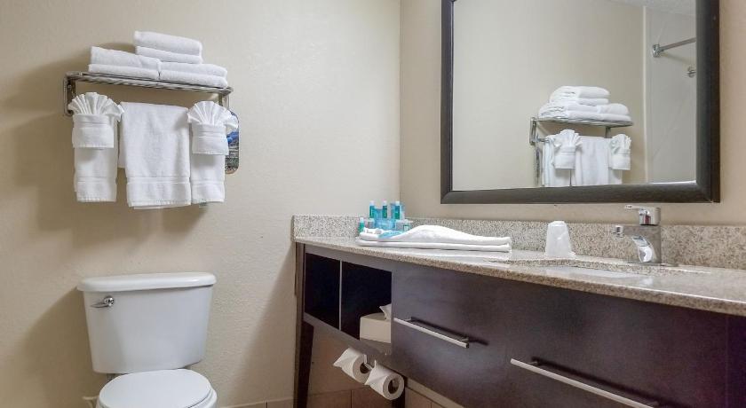 Holiday Inn Express Hotel & Suites Orange City