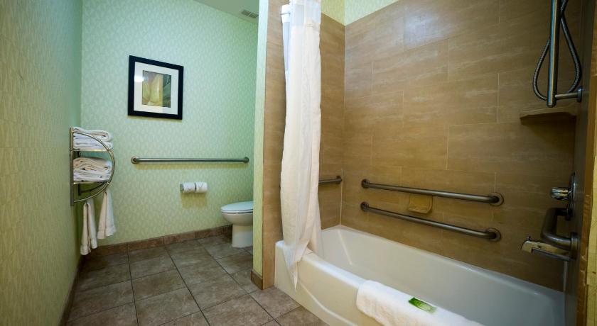 Holiday Inn Express Hotel & Suites Atlanta East - Lithonia