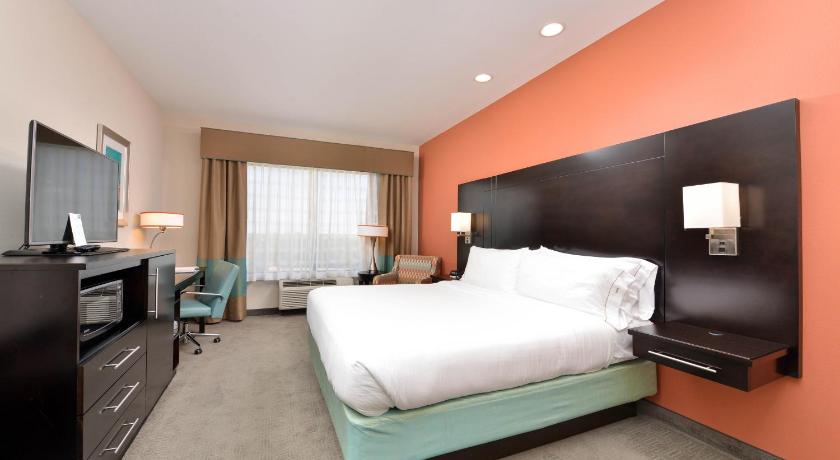 Holiday Inn Express & Suites Austin South