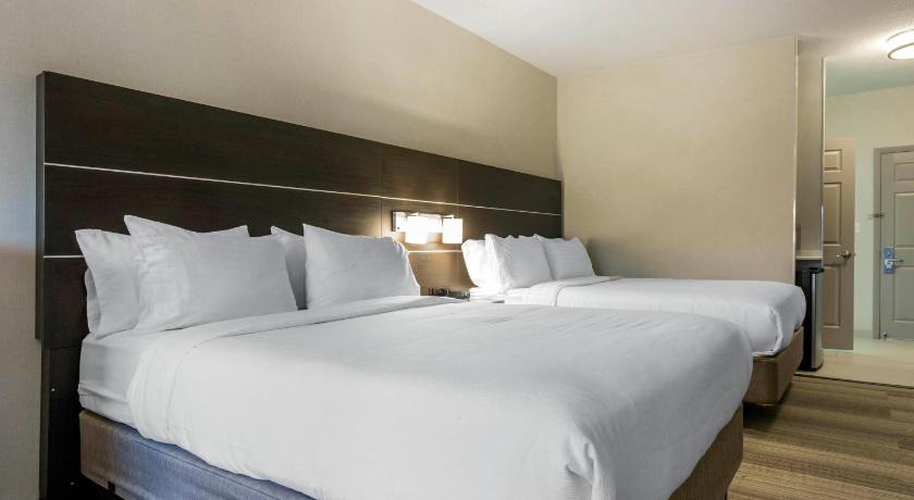 Holiday Inn Express & Suites Chicago West - St Charles