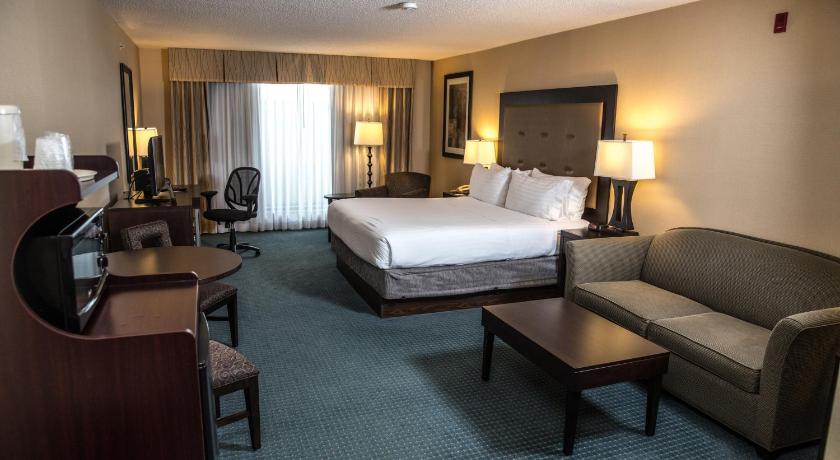 Holiday Inn Express Hotel & Suites - Novi