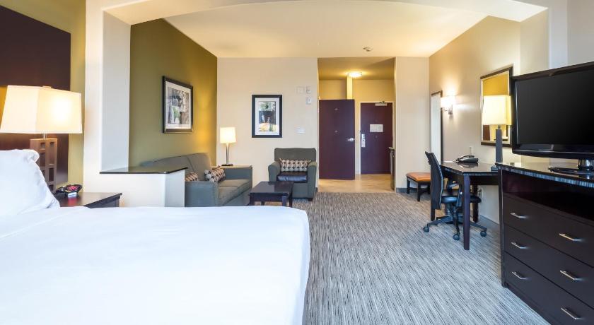 Holiday Inn Express Hotel & Suites Dallas West