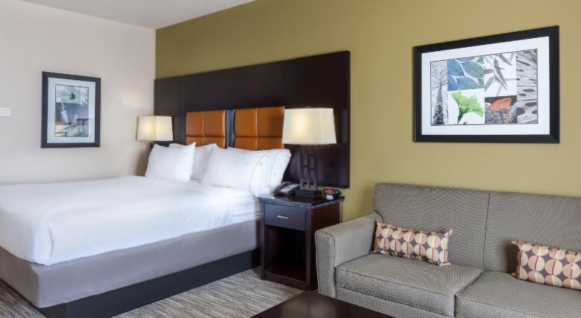 Holiday Inn Express Hotel & Suites Dallas West Main image