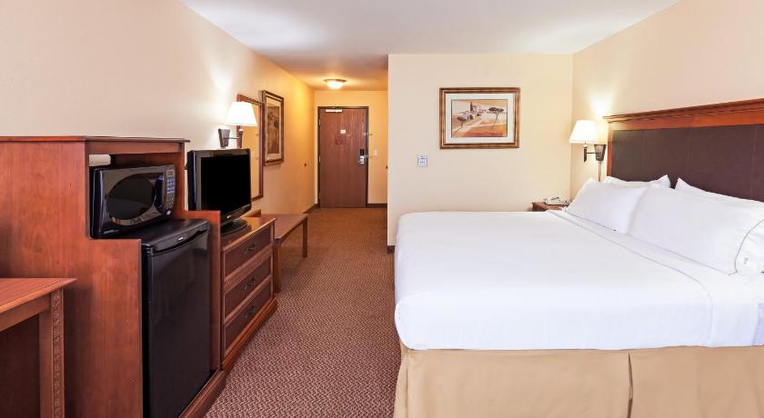 Holiday Inn Express Hotel & Suites Laredo-Event Center Area