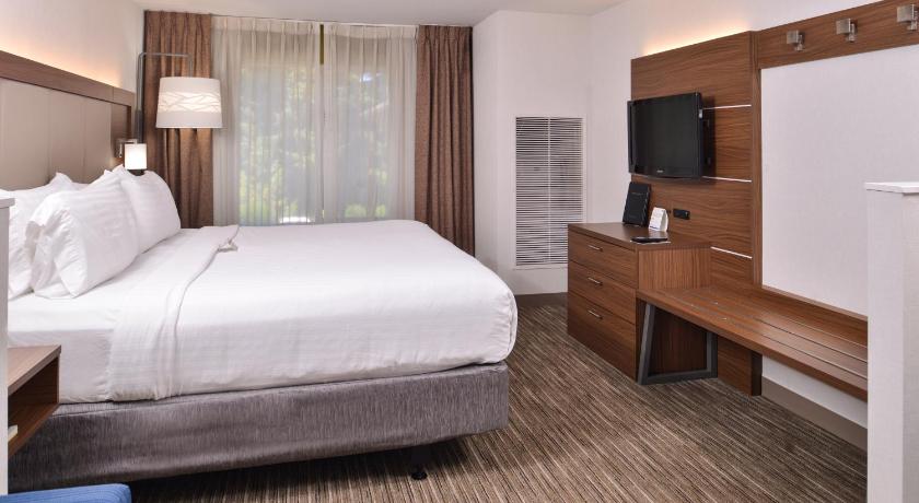 Holiday Inn Express Hotel & Suites Lacey-Olympia