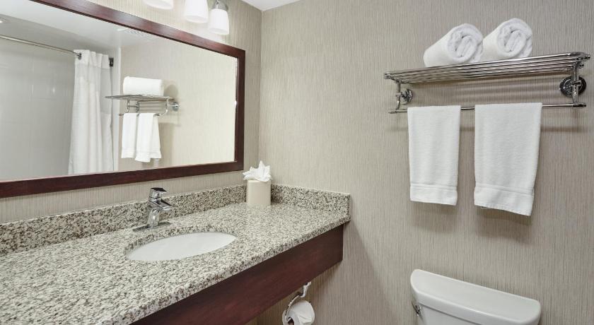 a bathroom with a toilet, sink and mirror, Holiday Inn Hotel & Suites Chicago-Carol Stream/Wheaton in Carol Stream (IL)