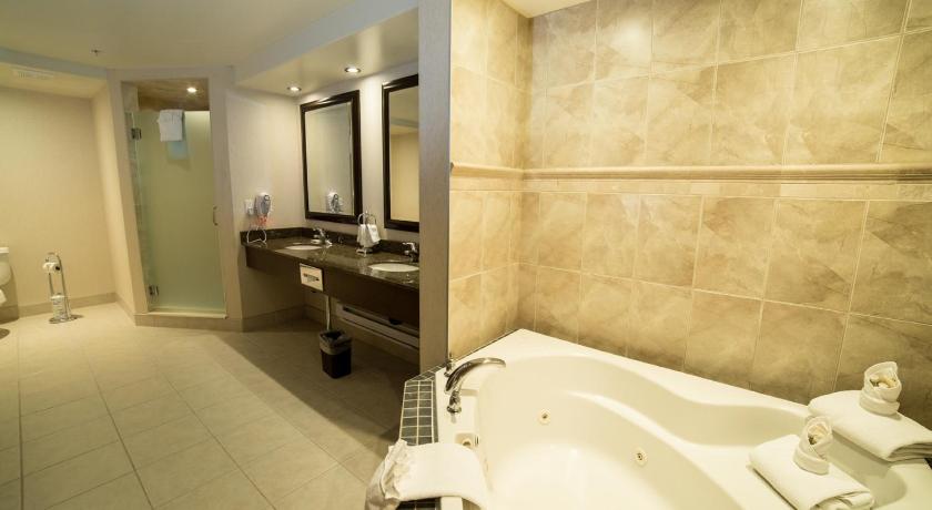 Holiday Inn Hotel & Suites-West Edmonton