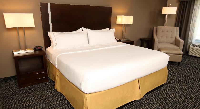 Holiday Inn Express & Suites Omaha South Ralston Arena