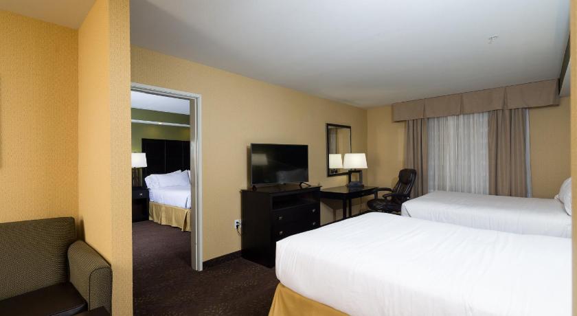 Holiday Inn Express and Suites Detroit North-Troy