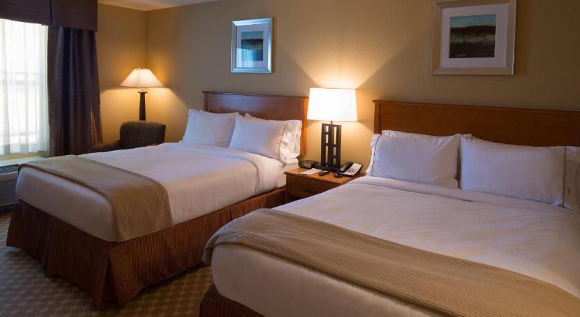 Holiday Inn Express & Suites Chicago West-Roselle photo