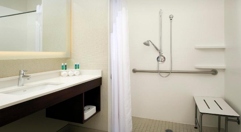 Holiday Inn Express & Suites Charlottesville - Ruckersville