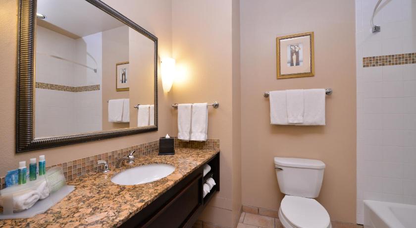 Holiday Inn Express Hotel & Suites Wichita Falls