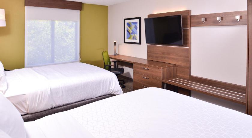 Holiday Inn Express Hotel & Suites Tampa-Anderson Road-Veterans Exp