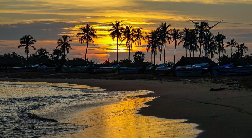 Red Coral Kitesurfing resort photo