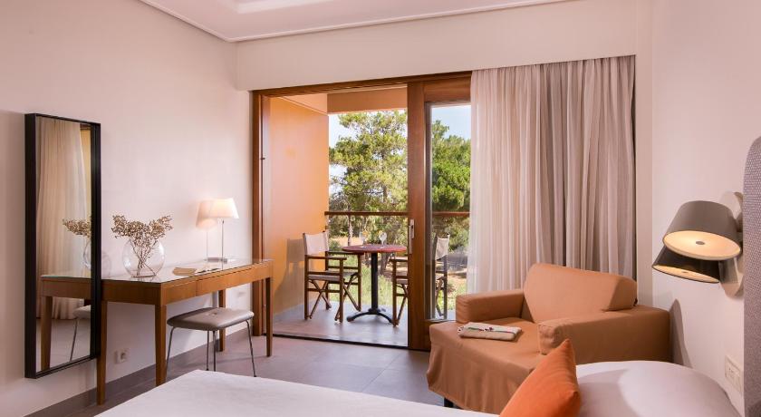 Image of Superior Room Mountain View 1