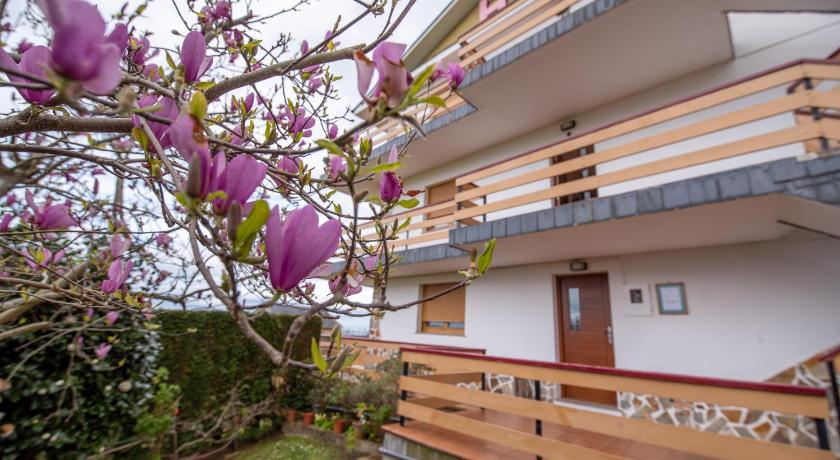 Hotel el Pinar — Hotel in Navia