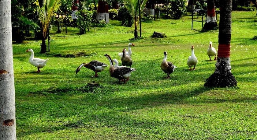 Toshali Sands Nature Escape