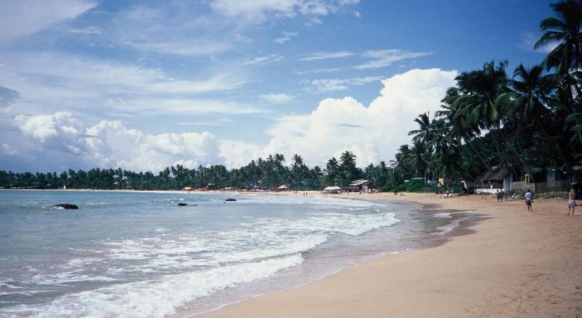Surf Sea Breeze Apartments photo