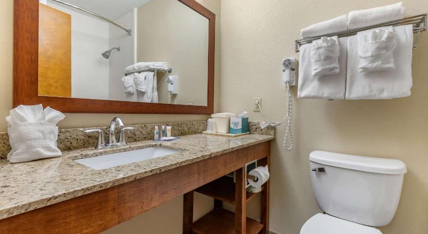 Comfort Inn & Suites Clemson - University Area