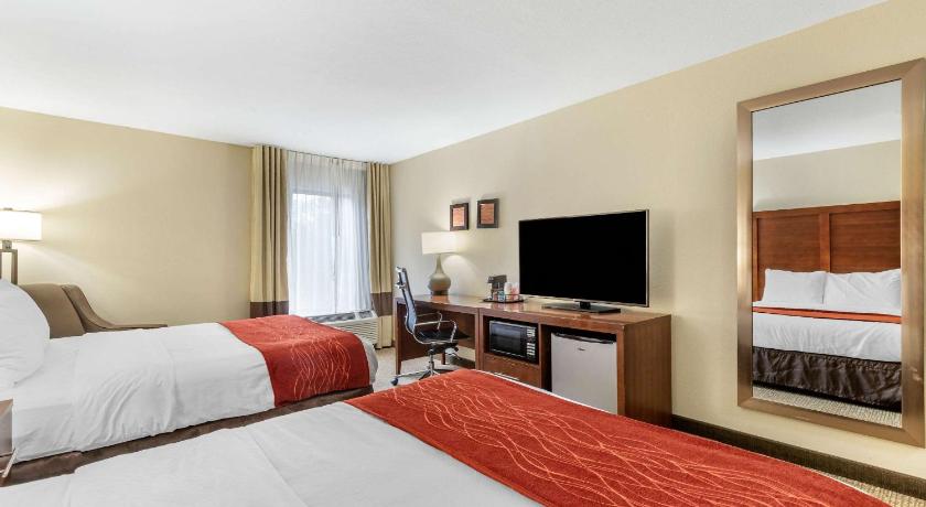 Comfort Inn & Suites Clemson - University Area