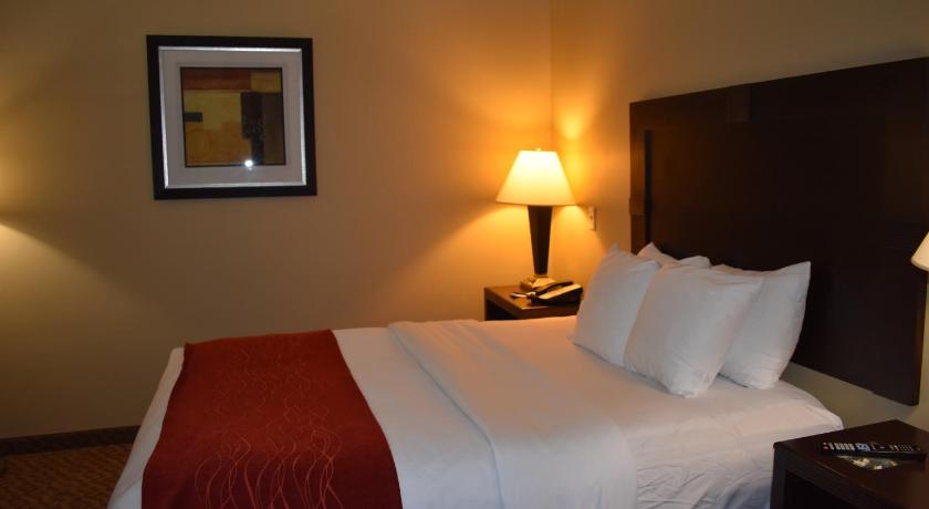 Comfort Inn and Suites Near Lake Guntersville