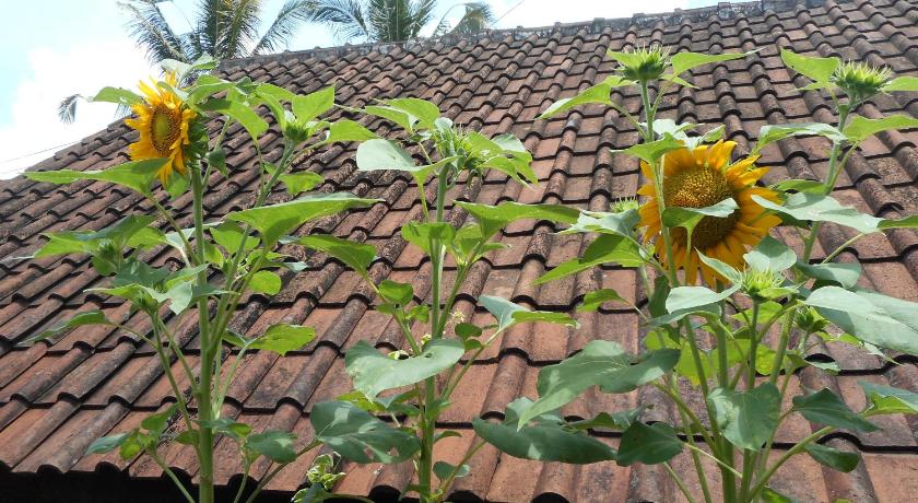 巴厘 Ming Homestay 2星级 单人房 设施