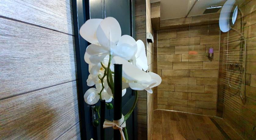Bagoly Wellness Apartman photo