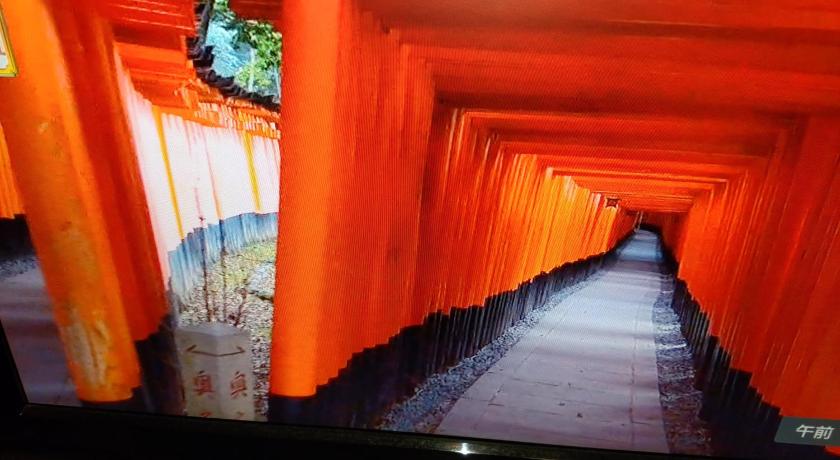 Kyo No Yado Nishioji inn photo