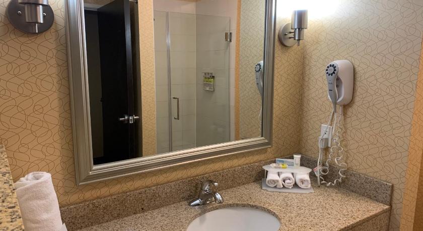 Holiday Inn Express Hotel & Suites Lansing-Dimondale