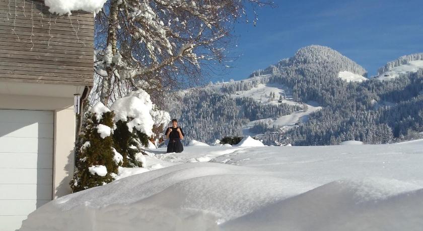 Hotel Edelweiss photo