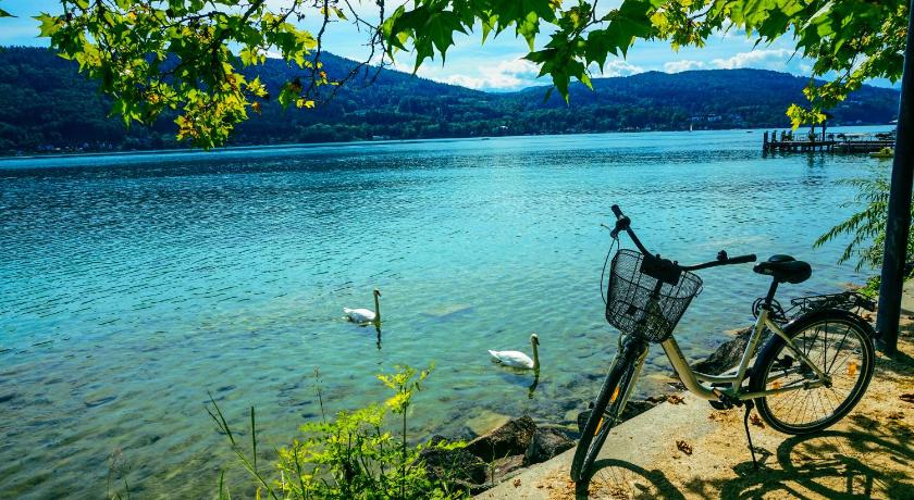 fr EinsteigerInnen. 23.-26. Apr/Jun. Krumpendorf am Wrthersee Singletrail Beginners Kids Only bis 15,99 Jahren. Singletrail Familien Kurs. 30.-22. Radevents Velo Wrthersee