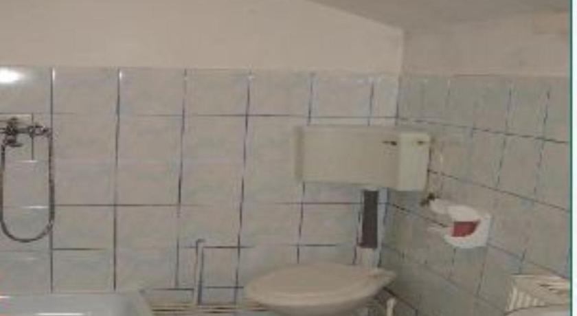 Pensiunea Montan Busteni photo