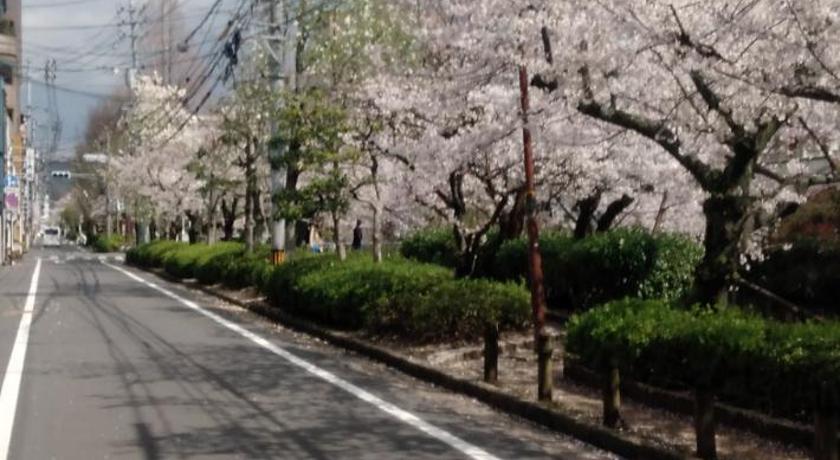 Special Honmachi photo