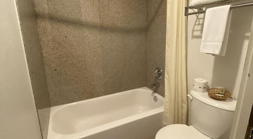 Snowshoe Motel photo