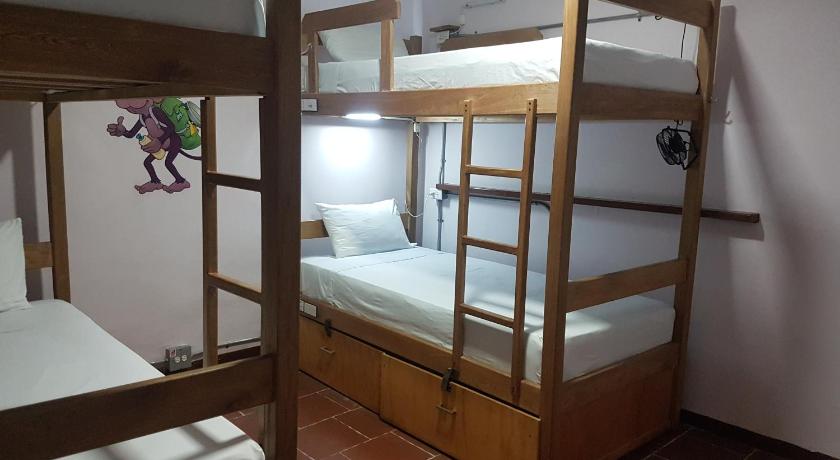 Purple Monkey Hostel photo