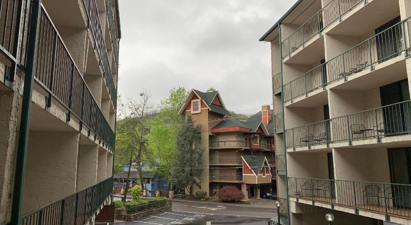 Image of Oak Square 108 4