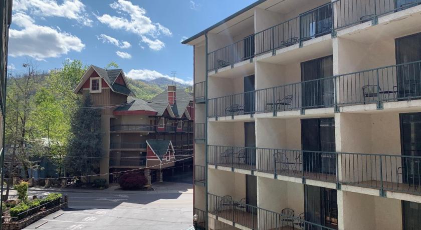 Image of Oak Square 211 4