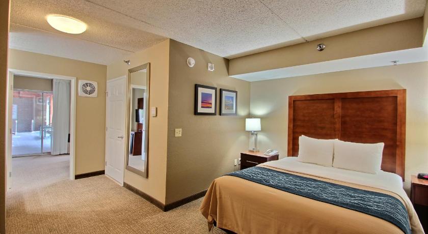 Comfort Inn and Suites Jackson - West Bend