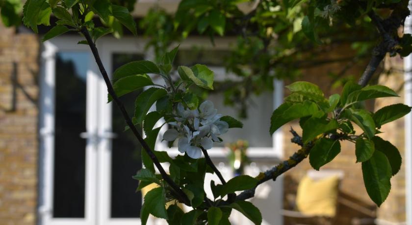 Apartment near Rail StationFREEparkingBus Stop   - image 11