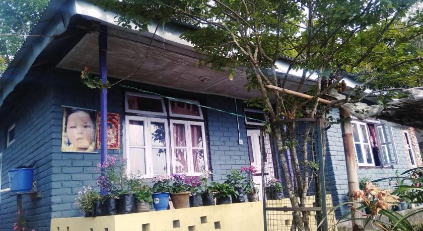 Vamoose Tragopan — Hotel in Aritar