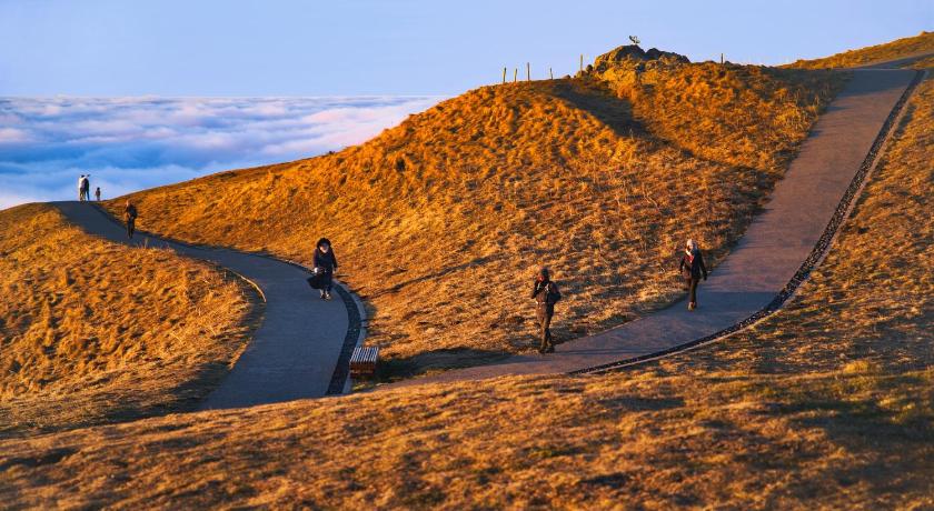 Hotel Albert Elisabeth Gare SNCF